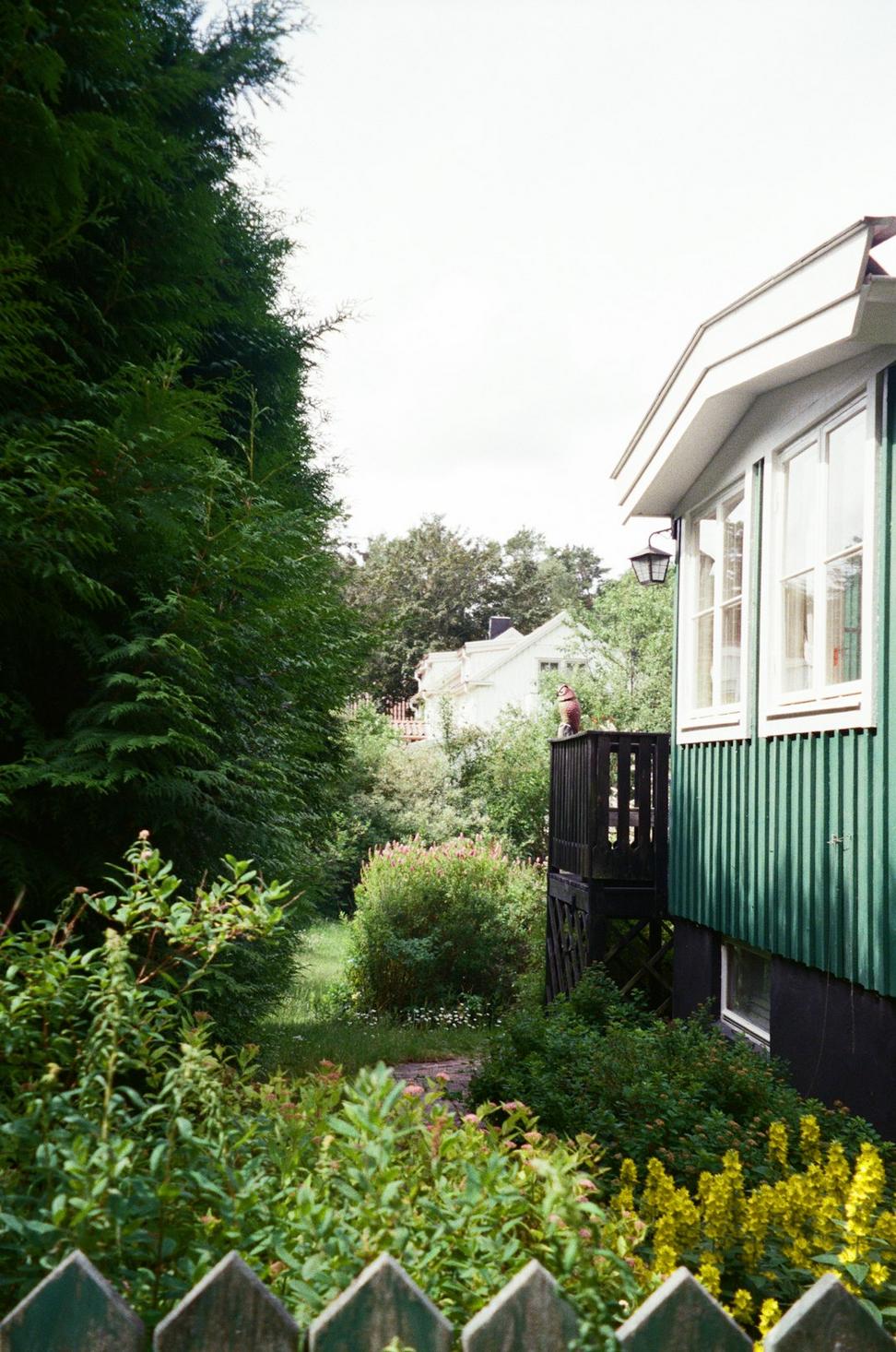 Westridge Outdoor Space